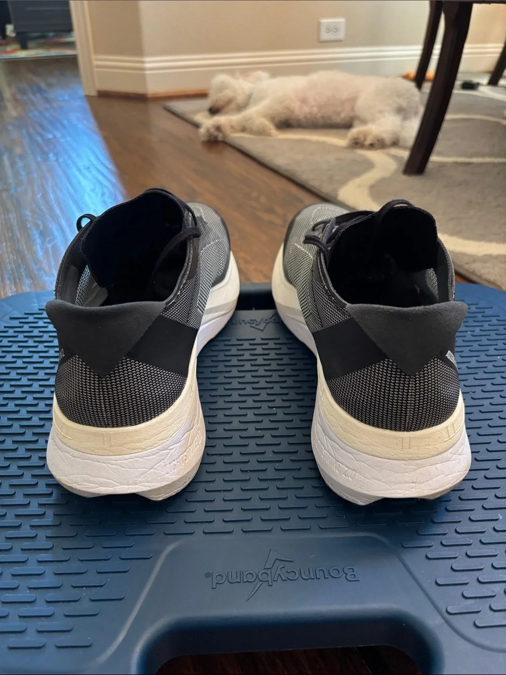 adidas these have